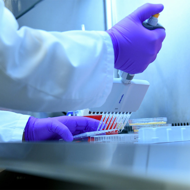 Developmental Research Projects