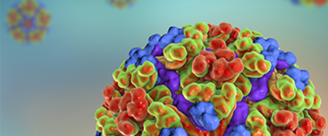 CDI-Virustsand Targets - Togoviridae Chikungunya